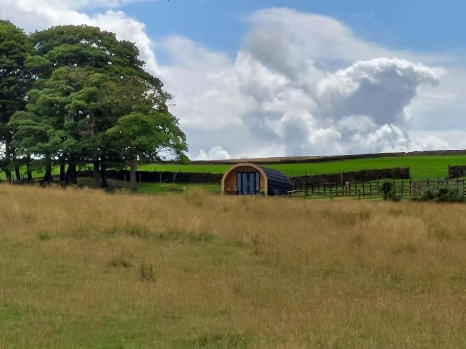 High Whashton Springs Glamping Pod, Richmond Yorks Daire Dış mekan fotoğraf